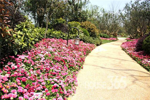 中國現(xiàn)代園林植物造景進階論