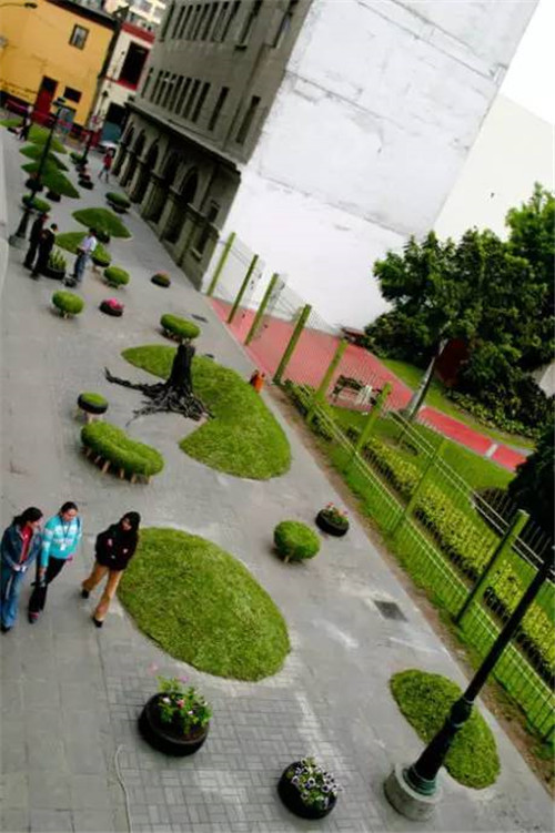中國現(xiàn)代園林植物造景進階論