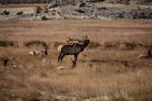 落基山國家公園