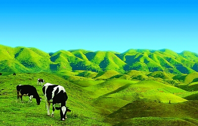 湖南南山國家公園體制試點區掠影（多圖）