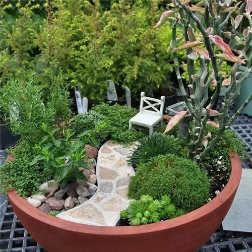 迷你微縮版花園，心都給萌化了