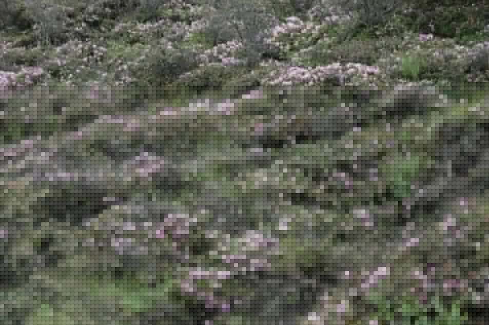 包滿珠：城市建設(shè)與屬地自然生態(tài)系統(tǒng)的保護(hù)