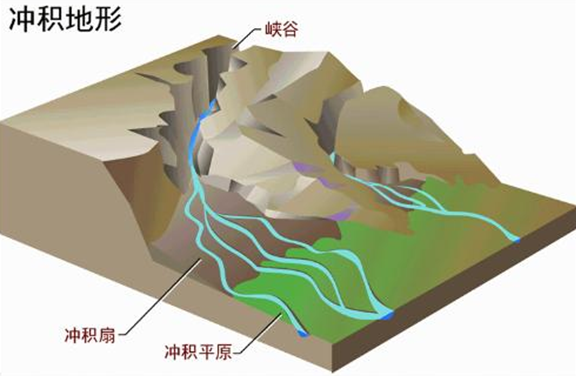 鄧曉梅：衡水湖——如何譜寫人與濕地的新篇章