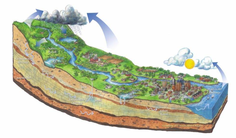 陳克林：爭創天藍、地綠、水凈國際濕地城市