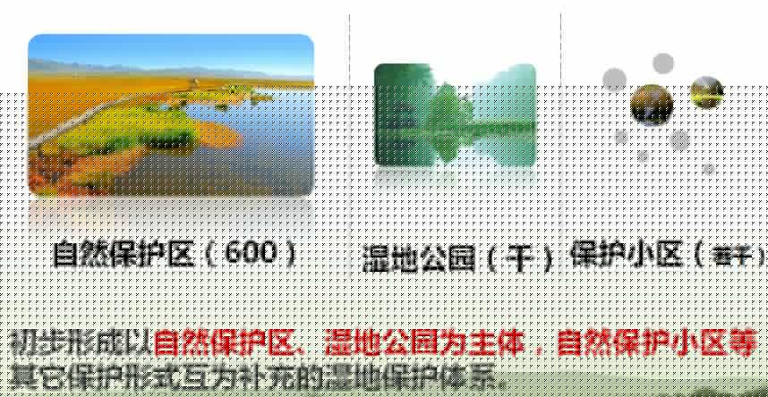 陳克林：爭創天藍、地綠、水凈國際濕地城市
