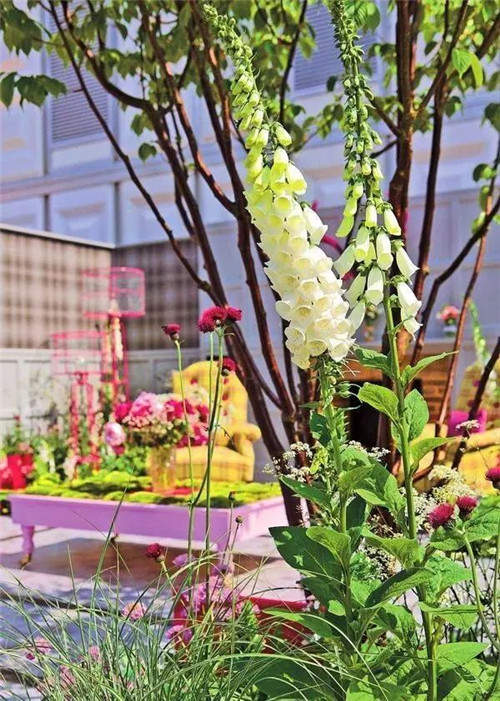 歐洲的花園為何被稱為庭院設計中的典范？