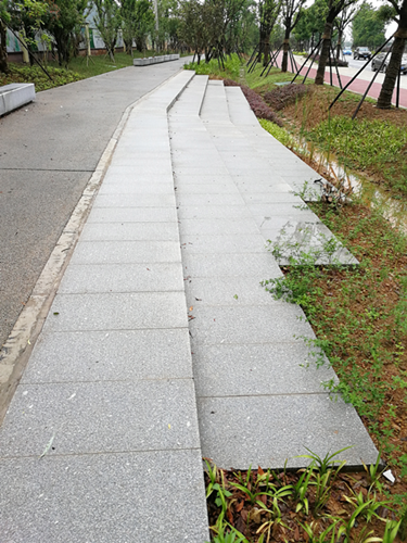 園冶杯專(zhuān)業(yè)獎(jiǎng)：梅溪湖路西延線(xiàn)道路景觀(guān)設(shè)計(jì)