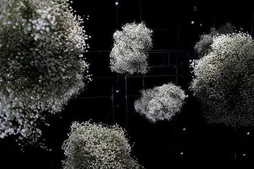 時(shí)尚、藝術(shù)、花卉 一場(chǎng)盛開(kāi)的對(duì)話