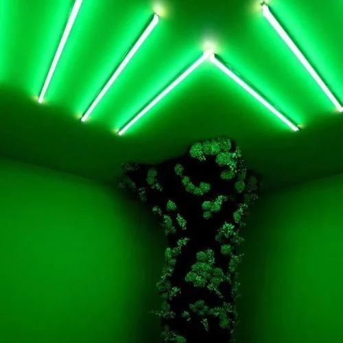 時(shí)尚、藝術(shù)、花卉 一場(chǎng)盛開(kāi)的對(duì)話