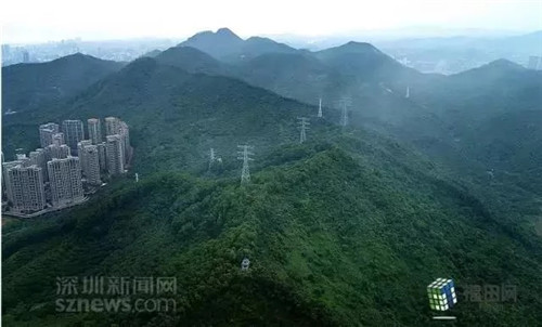 古樹寺廟和綠道，走進梅林人的后花園