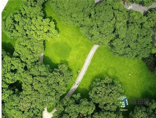 古樹寺廟和綠道，走進梅林人的后花園