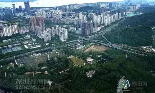 古樹寺廟和綠道，走進梅林人的后花園