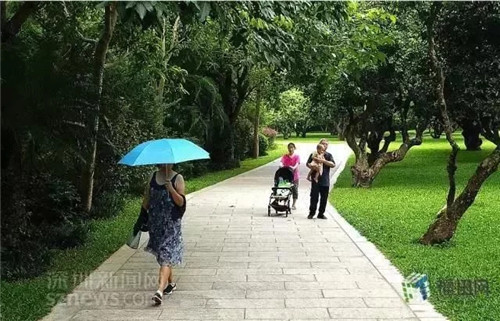 古樹寺廟和綠道，走進梅林人的后花園