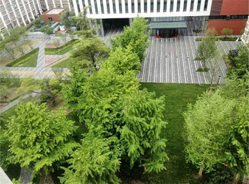 園冶杯專業(yè)獎：中航科研綜合樓項目景觀工程