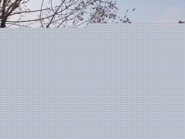 帶你走進(jìn)碣石國家公園去看一看