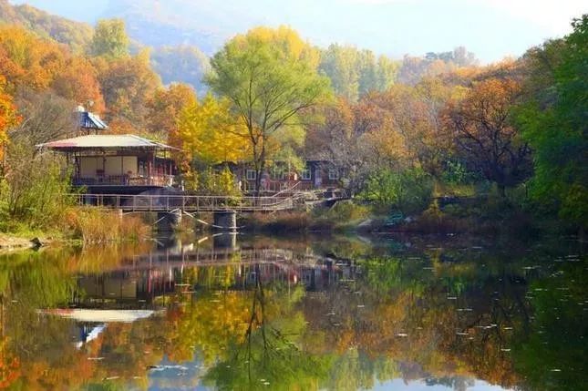 來大楊山國家森林公園邂逅真正的秋天