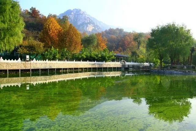 來大楊山國家森林公園邂逅真正的秋天