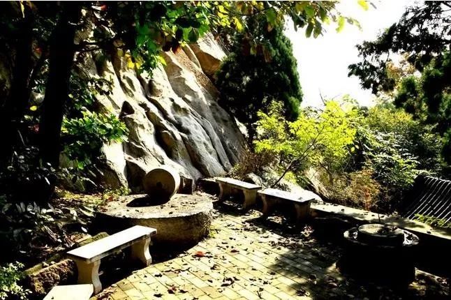 來大楊山國家森林公園邂逅真正的秋天