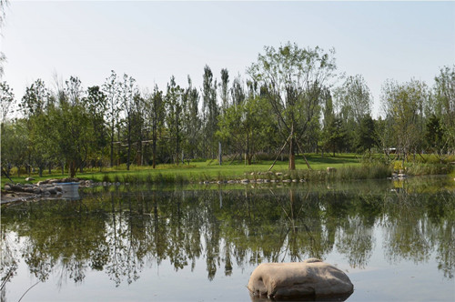 園冶杯專業(yè)獎:固安中央公園景觀設計
