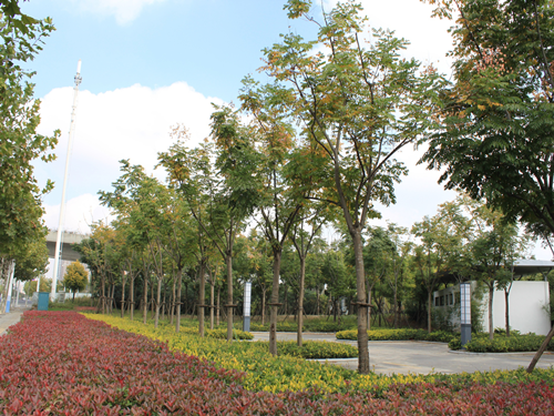 園冶杯專業(yè)獎(jiǎng)：2015年小游園建設(shè)工程A標(biāo)段