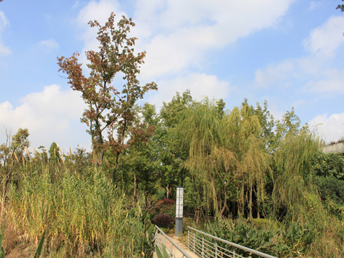 園冶杯專業(yè)獎(jiǎng)：2015年小游園建設(shè)工程A標(biāo)段