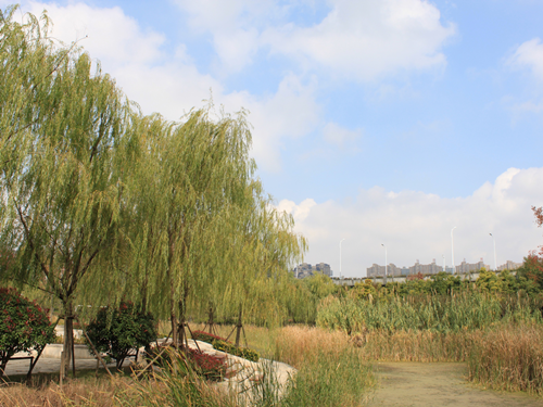 園冶杯專業(yè)獎(jiǎng)：2015年小游園建設(shè)工程A標(biāo)段