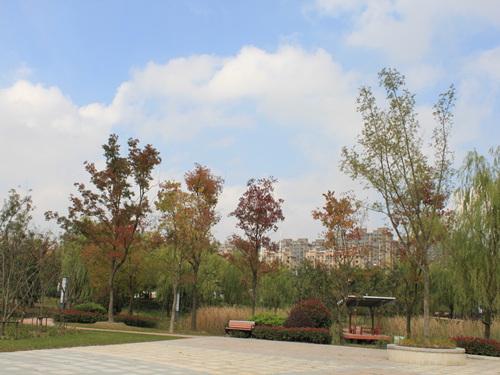 園冶杯專業(yè)獎(jiǎng)：2015年小游園建設(shè)工程A標(biāo)段