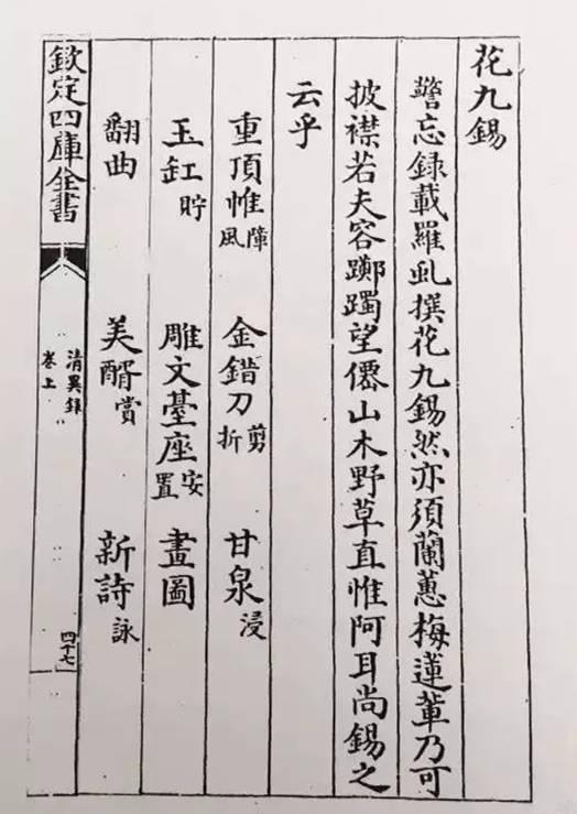 千年之韻——中國(guó)傳統(tǒng)插花藝術(shù)