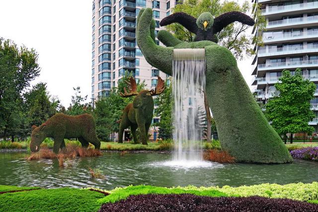 加拿大渥太華植物雕塑作品展，中國作品歡迎