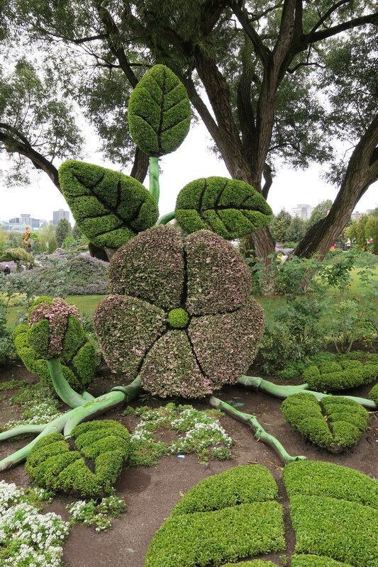 加拿大渥太華植物雕塑作品展，中國作品歡迎