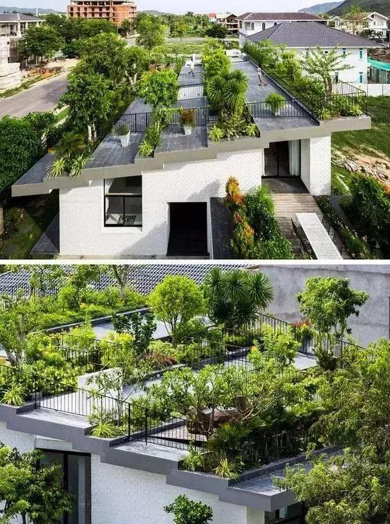 屋頂花園又不是說說而已