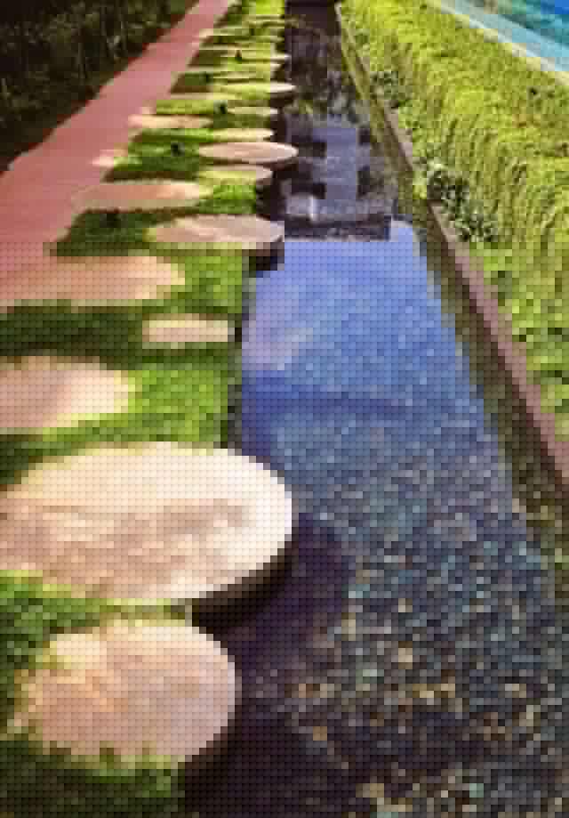 植物與水的搭配讓景觀充滿詩情畫意
