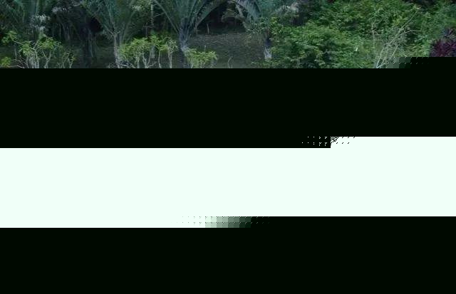 植物與水的搭配讓景觀充滿詩情畫意