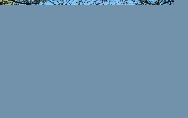 當中國園林遇上西方園林 藝術碰撞出文化