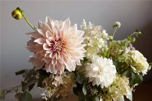 超美的插花作品，花藝師必學(xué)！