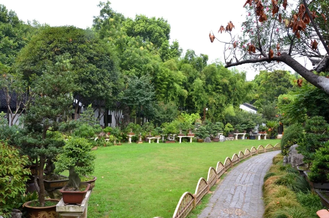 瞻園的驕傲與放縱——新瞻園的放縱