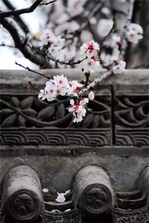 民宿設(shè)計(jì)意韻東方，瓦檐之美，美在細(xì)節(jié)