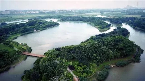 東莞生態(tài)園：海綿城市為術，區(qū)域整合為道