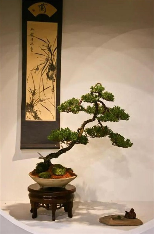 美國費城的盆景與插花藝術展