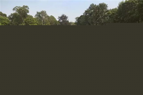 森林中的自然法式莊園景觀