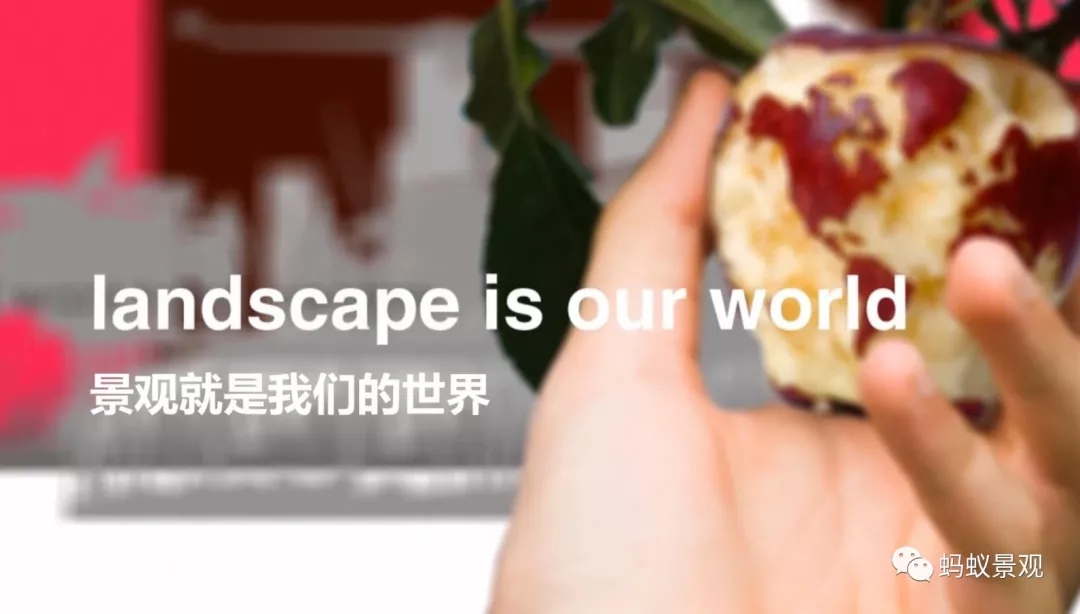 如何成為一名景觀設計師（上）