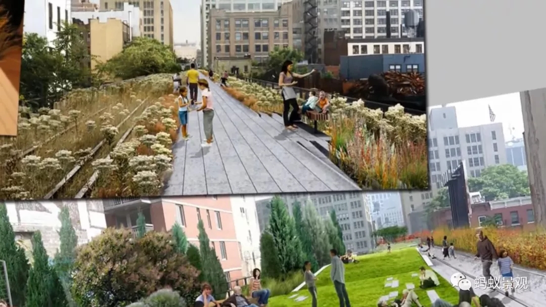 如何成為一名景觀設計師（上）