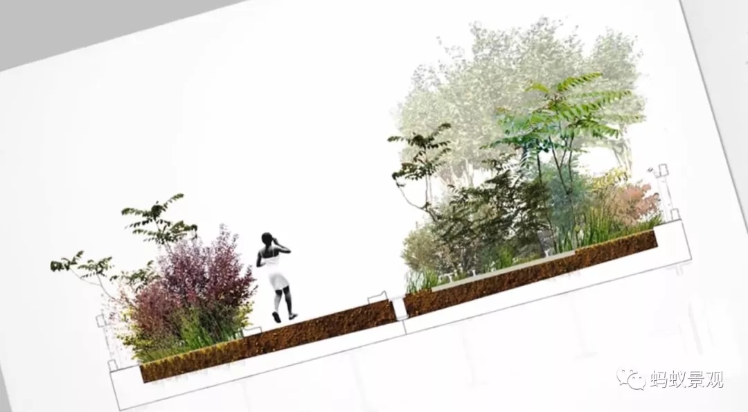 如何成為一名景觀設計師（上）
