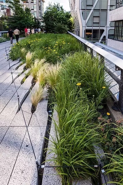 高線公園為什么兩奪asla大獎？