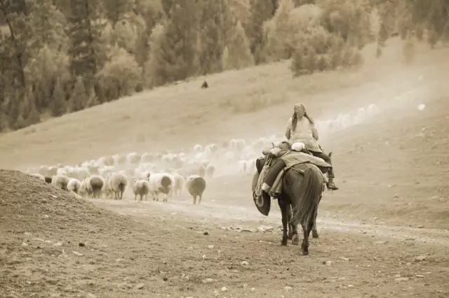 關于城市復興高線公園的啟示