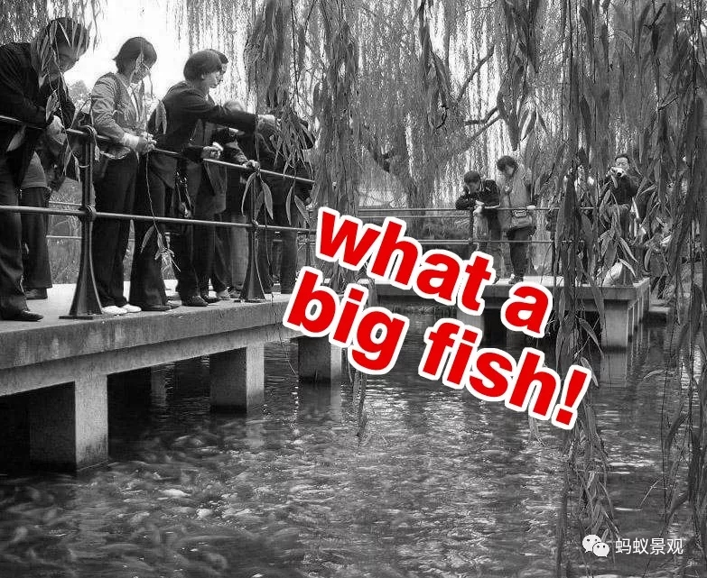 留園技術(shù)詳解手冊（上篇）