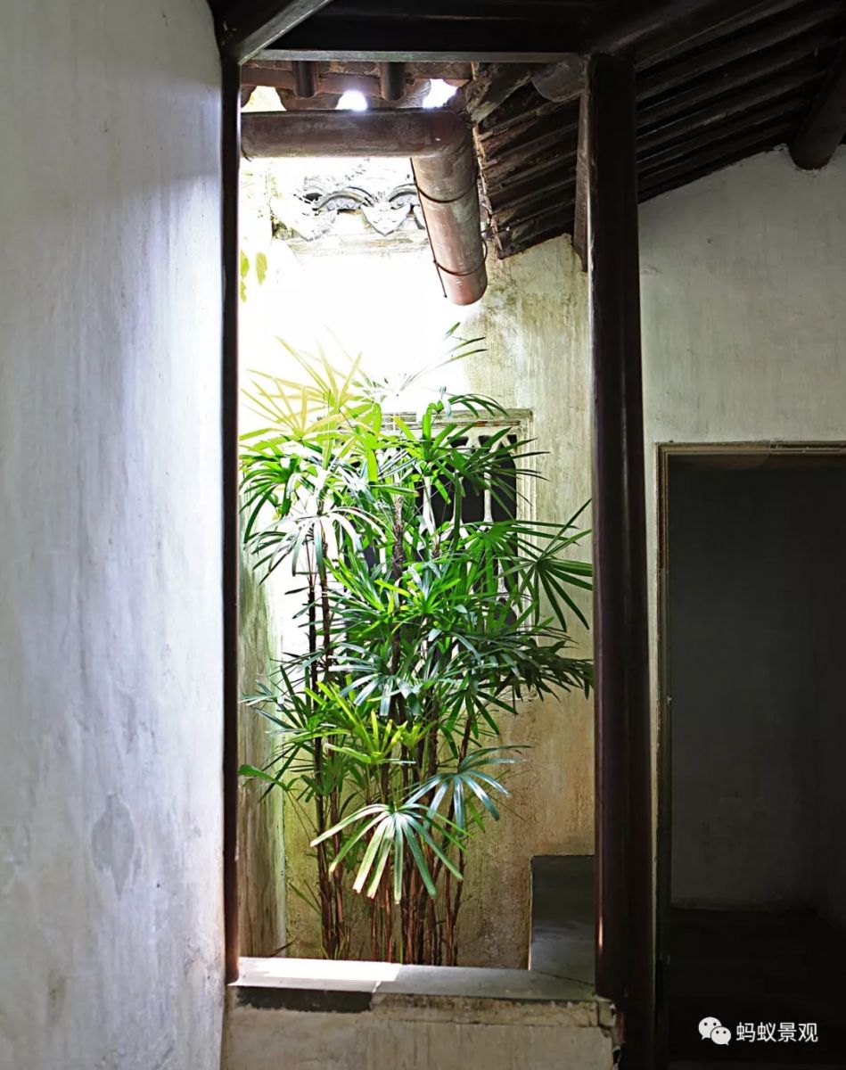 留園技術(shù)詳解手冊（上篇）