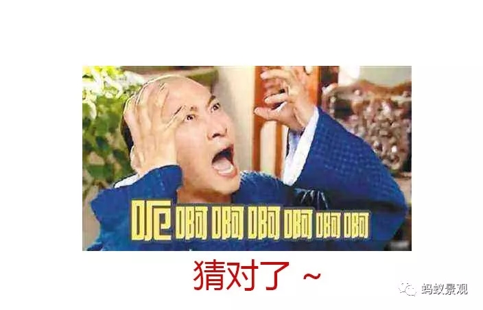 留園技術(shù)詳解手冊（上篇）