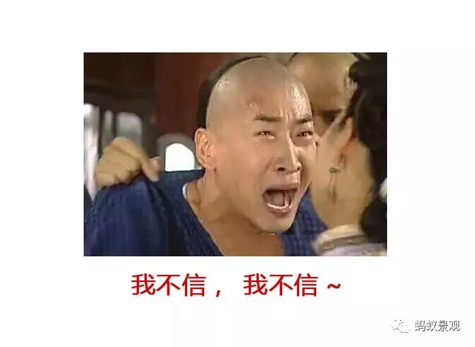 留園技術(shù)詳解手冊（上篇）