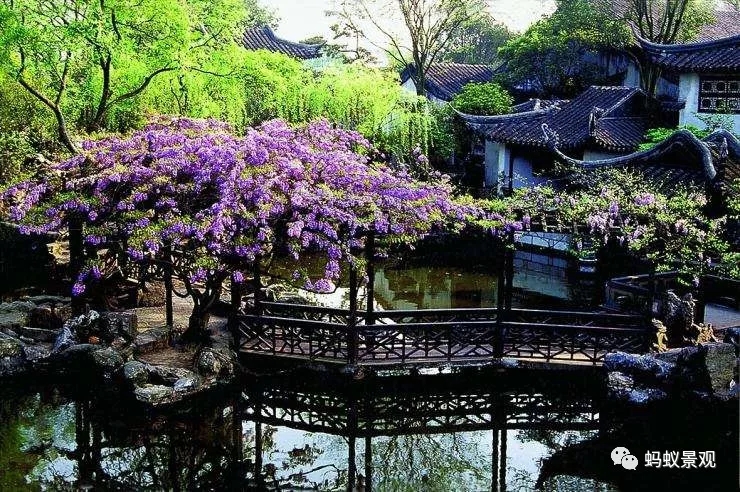 留園技術(shù)詳解手冊（上篇）